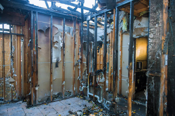 Professional Fire Damage Repair technician working in Kilkenny, MN